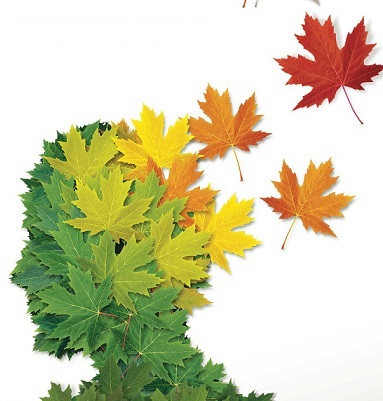 Image of a human head sillouete made of green leaves with some brown and yellow leaves falling off