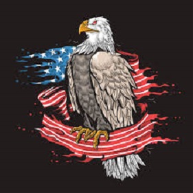 the american flag behind an eagle