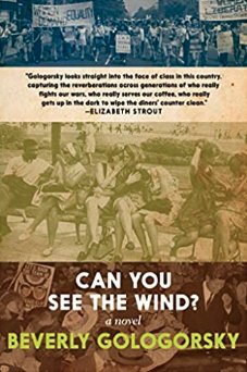 Can You See The Wind?  book cover