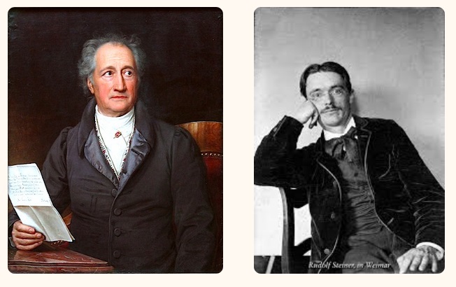 Goethe-Steiner